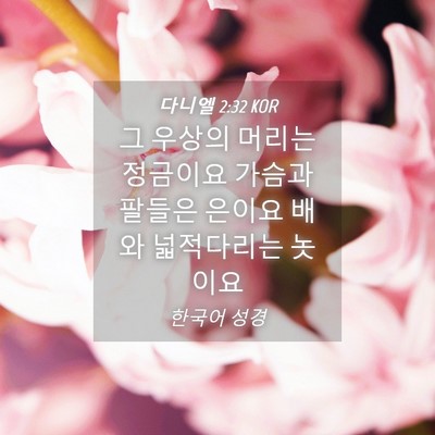 Picture 04 - 다니엘 2:32 KOR - 그 우상의 머리는 정금이요 가슴과 - Bible Verse Picture