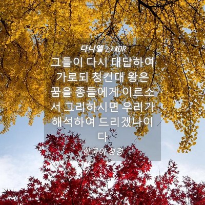 Picture 04 - 다니엘 2:7 KOR - 그들이 다시 대답하여 가로되 청컨대 - Bible Verse Picture
