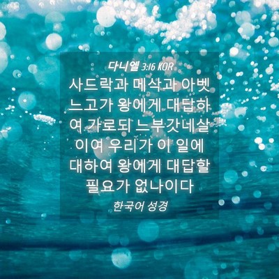 Picture 04 - 다니엘 3:16 KOR - 사드락과 메삭과 아벳느고가 왕에게 - Bible Verse Picture