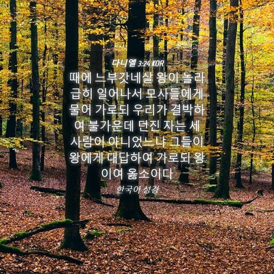 Picture 04 - 다니엘 3:24 KOR - 때에 느부갓네살 왕이 놀라 급히 - Bible Verse Picture