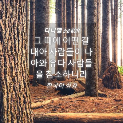 Picture 04 - 다니엘 3:8 KOR - 그 때에 어떤 갈대아 사람들이 - Bible Verse Picture