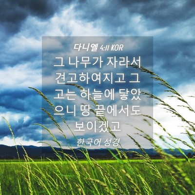Picture 04 - 다니엘 4:11 KOR - 그 나무가 자라서 견고하여지고 그 - Bible Verse Picture