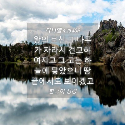 Picture 04 - 다니엘 4:20 KOR - 왕의 보신 그 나무가 자라서 - Bible Verse Picture