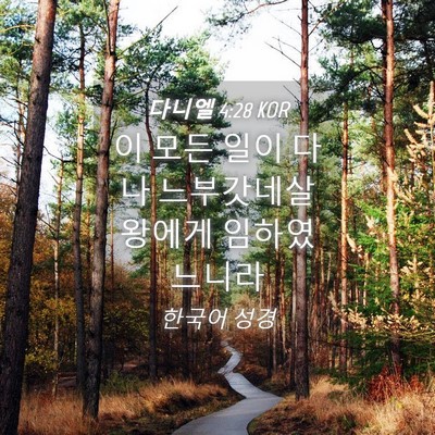Picture 04 - 다니엘 4:28 KOR - 이 모든 일이 다 나 느부갓네살 - Bible Verse Picture
