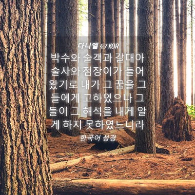 Picture 04 - 다니엘 4:7 KOR - 박수와 술객과 갈대아 술사와 - Bible Verse Picture