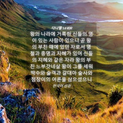 Picture 04 - 다니엘 5:11 KOR - 왕의 나라에 거룩한 신들의 영이 - Bible Verse Picture