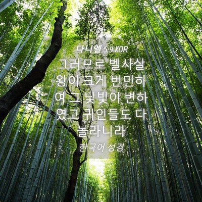 Picture 04 - 다니엘 5:9 KOR - 그러므로 벨사살 왕이 크게 번민하여 - Bible Verse Picture