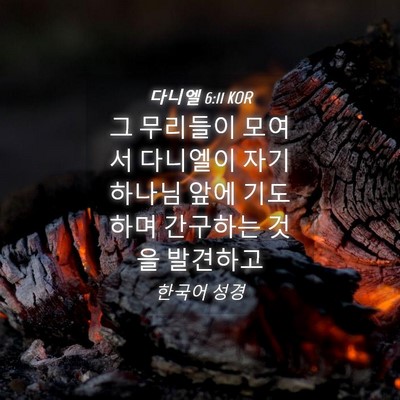 Picture 04 - 다니엘 6:11 KOR - 그 무리들이 모여서 다니엘이 자기 - Bible Verse Picture