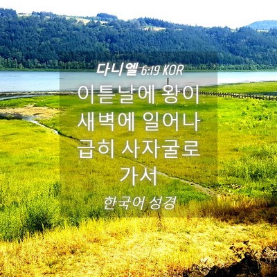 Picture 04 - 다니엘 6:19 KOR - 이튿날에 왕이 새벽에 일어나 급히 - Bible Verse Picture