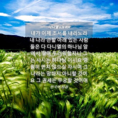 Picture 04 - 다니엘 6:26 KOR - 내가 이제 조서를 내리노라 내 나라 - Bible Verse Picture