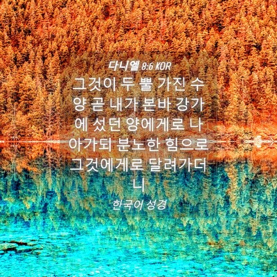 Picture 04 - 다니엘 8:6 KOR - 그것이 두 뿔 가진 수양 곧 내가 본바 - Bible Verse Picture