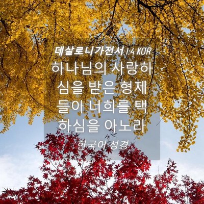 Picture 04 - 데살로니가전서 1:4 KOR - 하나님의 사랑하심을 받은 형제들아 - Bible Verse Picture