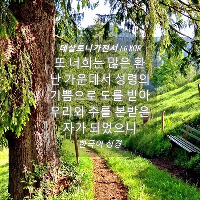 Picture 04 - 데살로니가전서 1:6 KOR - 또 너희는 많은 환난 가운데서 - Bible Verse Picture