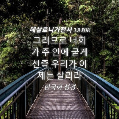 Picture 04 - 데살로니가전서 3:8 KOR - 그러므로 너희가 주 안에 굳게 선즉 - Bible Verse Picture