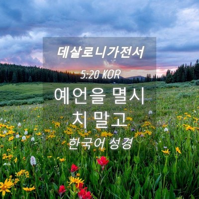 Picture 04 - 데살로니가전서 5:20 KOR - 예언을 멸시치 - Bible Verse Picture