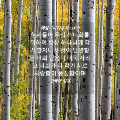Picture 04 - 데살로니가후서 1:3 KOR - 형제들아 우리가 너희를 위하여 항상 - Bible Verse Picture