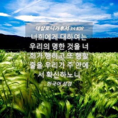 Picture 04 - 데살로니가후서 3:4 KOR - 너희에게 대하여는 우리의 명한 것을 - Bible Verse Picture