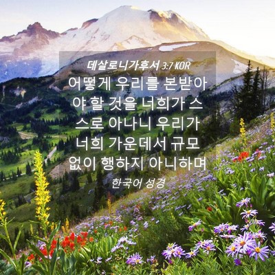 Picture 04 - 데살로니가후서 3:7 KOR - 어떻게 우리를 본받아야 할 것을 - Bible Verse Picture