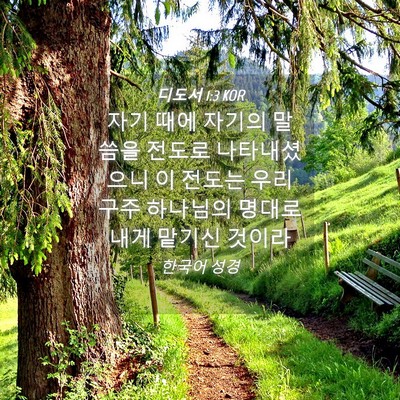 Picture 04 - 디도서 1:3 KOR - 자기 때에 자기의 말씀을 전도로 - Bible Verse Picture