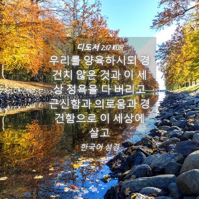 Picture 04 - 디도서 2:12 KOR - 우리를 양육하시되 경건치 않은 것과 - Bible Verse Picture