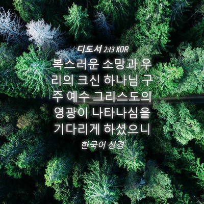 Picture 04 - 디도서 2:13 KOR - 복스러운 소망과 우리의 크신 하나님 - Bible Verse Picture