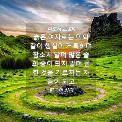Picture 04 - 디도서 2:3 KOR - 늙은 여자로는 이와 같이 행실이 - Bible Verse Picture