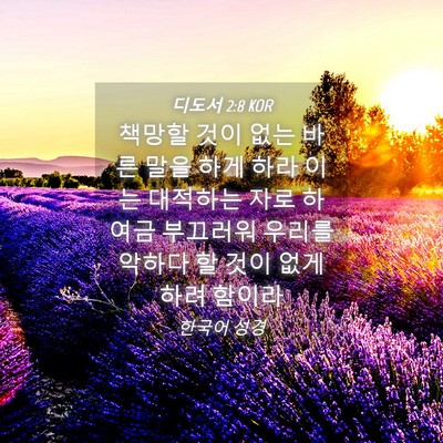 Picture 04 - 디도서 2:8 KOR - 책망할 것이 없는 바른 말을 하게 - Bible Verse Picture