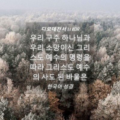 Picture 04 - 디모데전서 1:1 KOR - 우리 구주 하나님과 우리 소망이신 - Bible Verse Picture