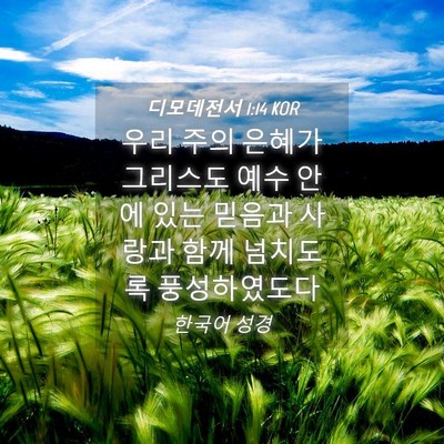 Picture 04 - 디모데전서 1:14 KOR - 우리 주의 은혜가 그리스도 예수 - Bible Verse Picture