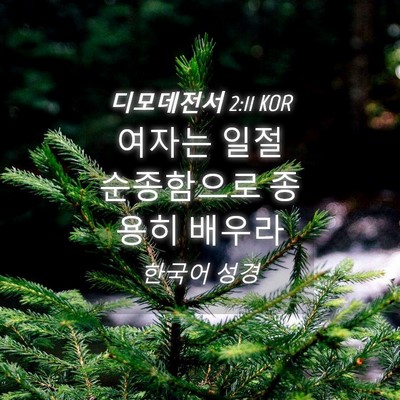 Picture 04 - 디모데전서 2:11 KOR - 여자는 일절 순종함으로 종용히 - Bible Verse Picture