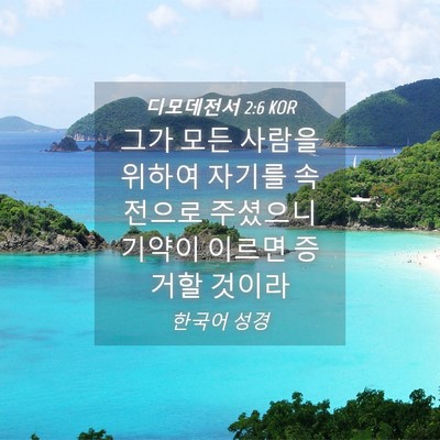 Picture 04 - 디모데전서 2:6 KOR - 그가 모든 사람을 위하여 자기를 - Bible Verse Picture