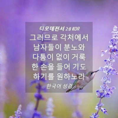 Picture 04 - 디모데전서 2:8 KOR - 그러므로 각처에서 남자들이 분노와 - Bible Verse Picture