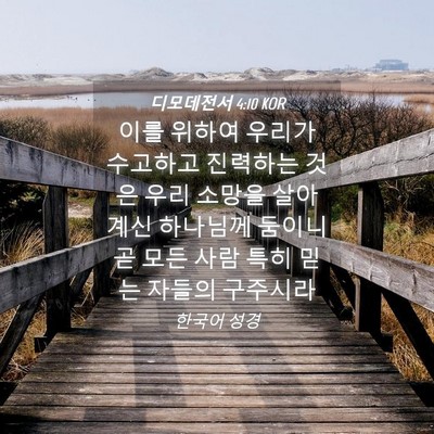 Picture 04 - 디모데전서 4:10 KOR - 이를 위하여 우리가 수고하고 - Bible Verse Picture