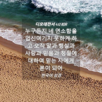 Picture 04 - 디모데전서 4:12 KOR - 누구든지 네 연소함을 업신여기지 - Bible Verse Picture