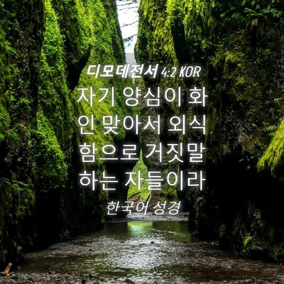 Picture 04 - 디모데전서 4:2 KOR - 자기 양심이 화인 맞아서 외식함으로 - Bible Verse Picture