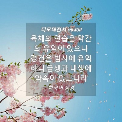 Picture 04 - 디모데전서 4:8 KOR - 육체의 연습은 약간의 유익이 있으나 - Bible Verse Picture