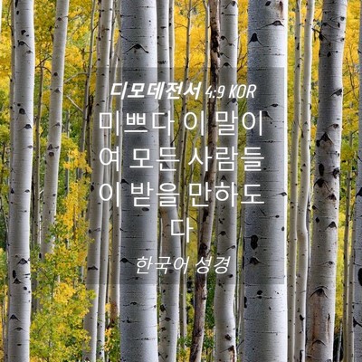 Picture 04 - 디모데전서 4:9 KOR - 미쁘다 이 말이여 모든 사람들이 - Bible Verse Picture