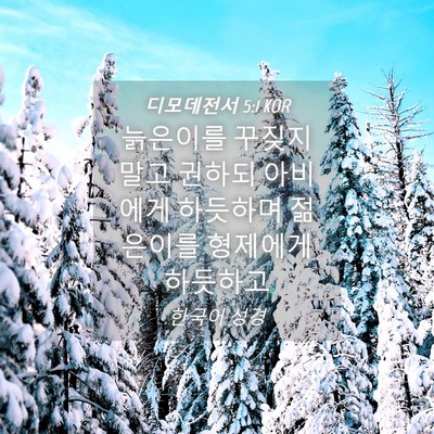 Picture 04 - 디모데전서 5:1 KOR - 늙은이를 꾸짖지 말고 권하되 - Bible Verse Picture