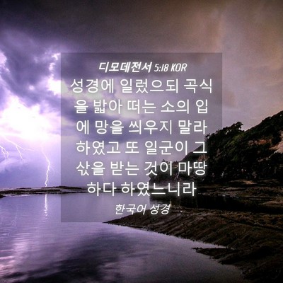 Picture 04 - 디모데전서 5:18 KOR - 성경에 일렀으되 곡식을 밟아 떠는 - Bible Verse Picture
