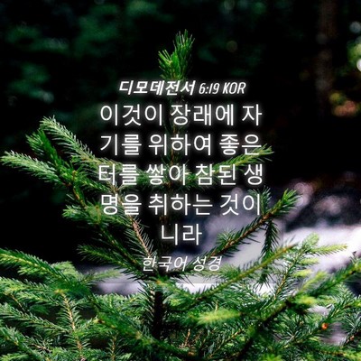 Picture 04 - 디모데전서 6:19 KOR - 이것이 장래에 자기를 위하여 좋은 - Bible Verse Picture