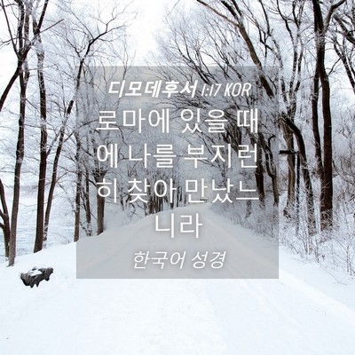 Picture 04 - 디모데후서 1:17 KOR - 로마에 있을 때에 나를 부지런히 - Bible Verse Picture
