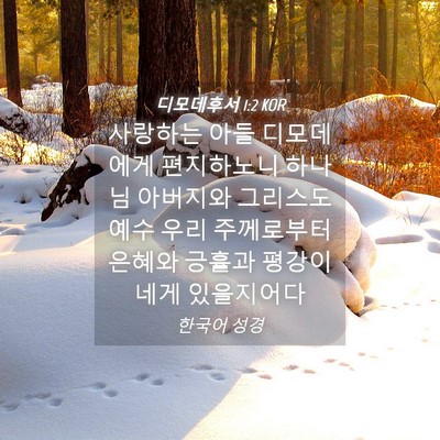 Picture 04 - 디모데후서 1:2 KOR - 사랑하는 아들 디모데에게 - Bible Verse Picture