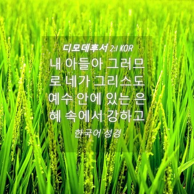 Picture 04 - 디모데후서 2:1 KOR - 내 아들아 그러므로 네가 그리스도 - Bible Verse Picture