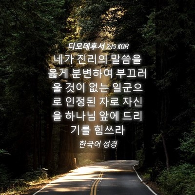 Picture 04 - 디모데후서 2:15 KOR - 네가 진리의 말씀을 옳게 분변하여 - Bible Verse Picture