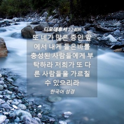 Picture 04 - 디모데후서 2:2 KOR - 또 네가 많은 증인 앞에서 내게 - Bible Verse Picture