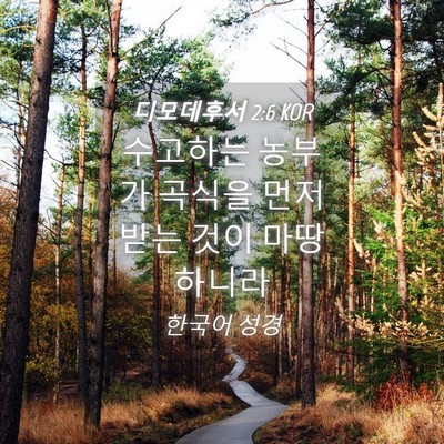 Picture 04 - 디모데후서 2:6 KOR - 수고하는 농부가 곡식을 먼저 받는 - Bible Verse Picture