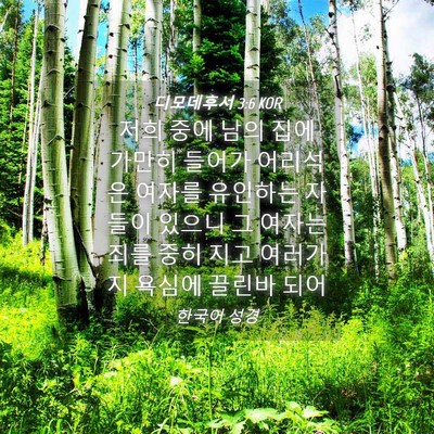 Picture 04 - 디모데후서 3:6 KOR - 저희 중에 남의 집에 가만히 들어가 - Bible Verse Picture