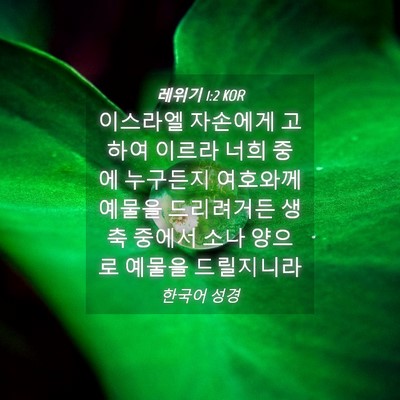 Picture 04 - 레위기 1:2 KOR - 이스라엘 자손에게 고하여 이르라 - Bible Verse Picture