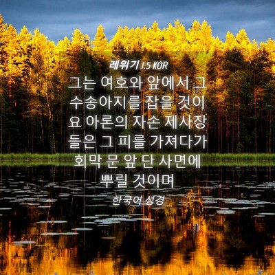 Picture 04 - 레위기 1:5 KOR - 그는 여호와 앞에서 그 수송아지를 - Bible Verse Picture