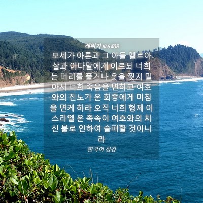 Picture 04 - 레위기 10:6 KOR - 모세가 아론과 그 아들 엘르아살과 - Bible Verse Picture